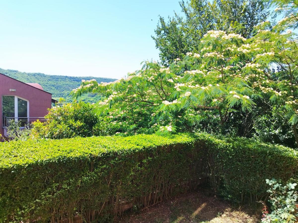 Green, Quiet And Beautiful 1 Appartement Kavarna Buitenkant foto